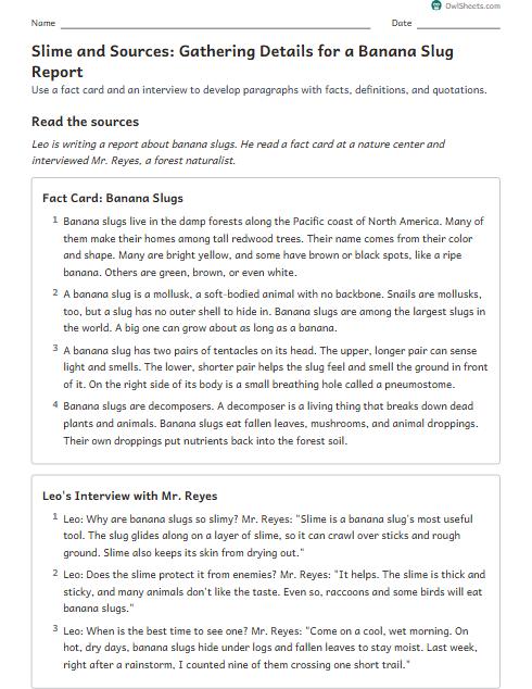 Slime and Sources: Gathering Details for a Banana Slug Report worksheet preview