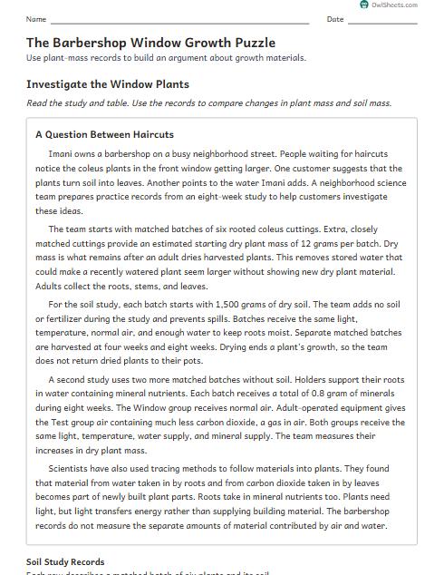 The Barbershop Window Growth Puzzle worksheet preview
