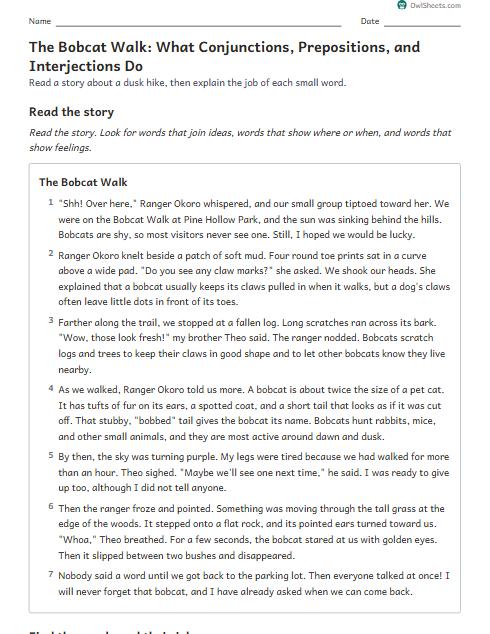The Bobcat Walk: What Conjunctions, Prepositions, and Interjections Do worksheet preview