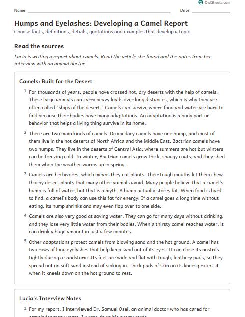 Humps and Eyelashes: Developing a Camel Report worksheet preview