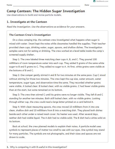 Camp Canteen: The Hidden Sugar Investigation worksheet preview