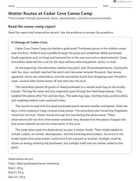 Matter Routes at Cedar Cove Canoe Camp worksheet preview