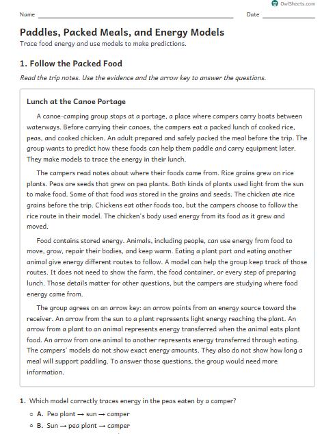 Paddles, Packed Meals, and Energy Models worksheet preview