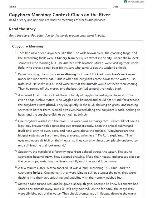Capybara Morning: Context Clues on the River worksheet preview
