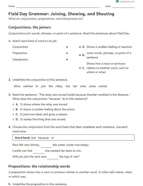 Field Day Grammar: Joining, Showing, and Shouting worksheet preview