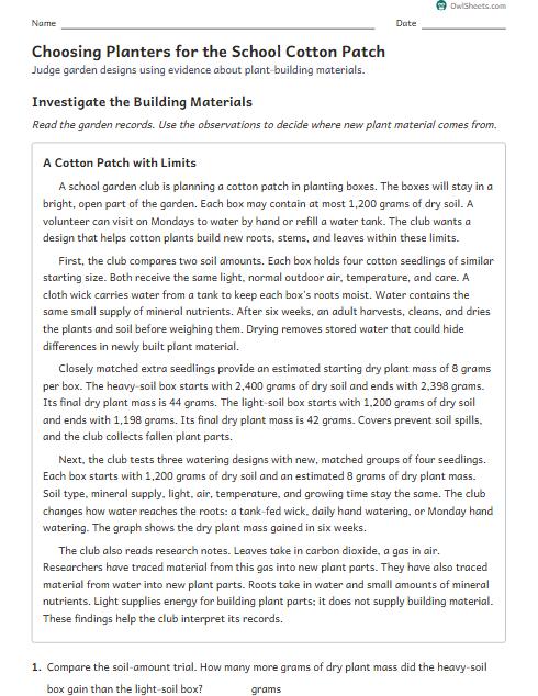 Choosing Planters for the School Cotton Patch worksheet preview