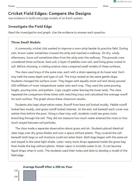 Cricket Field Edges: Compare the Designs worksheet preview
