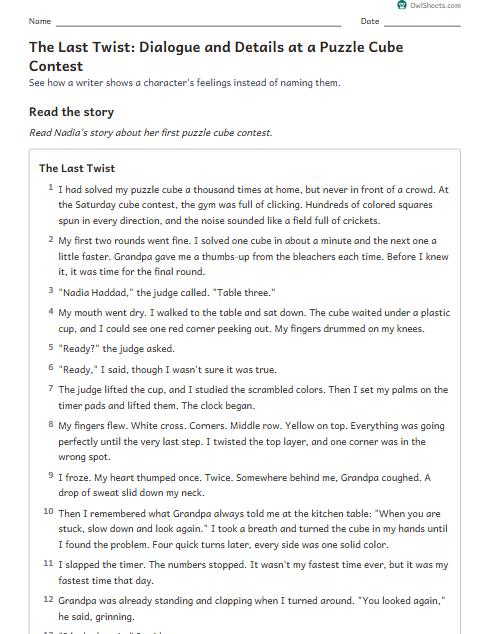 The Last Twist: Dialogue and Details at a Puzzle Cube Contest worksheet preview