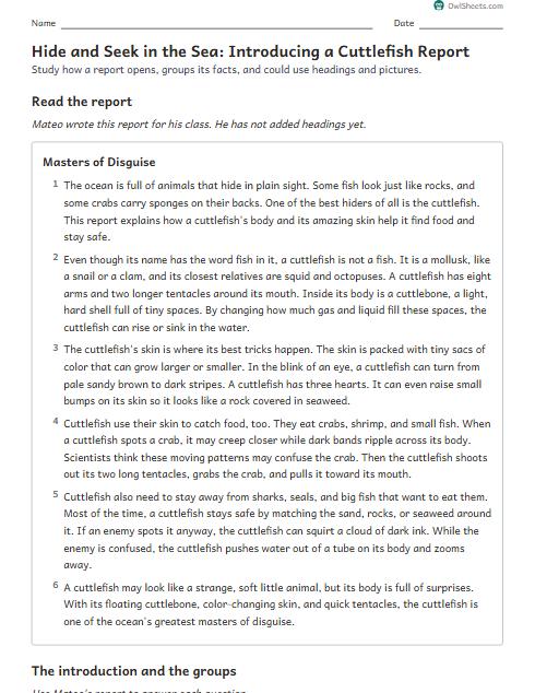 Hide and Seek in the Sea: Introducing a Cuttlefish Report worksheet preview