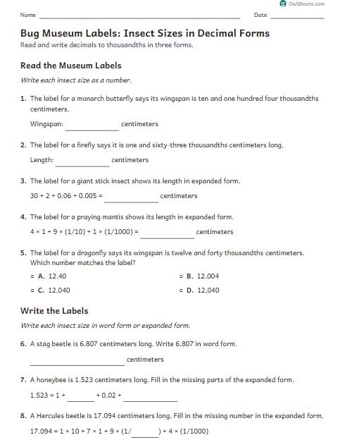 Bug Museum Labels: Insect Sizes in Decimal Forms worksheet preview