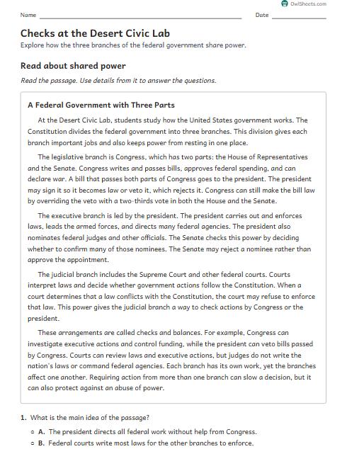 Checks at the Desert Civic Lab worksheet preview