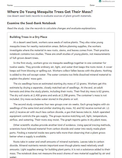 Where Do Young Mesquite Trees Get Their Mass? worksheet preview