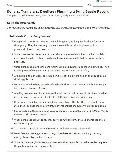 Rollers, Tunnelers, Dwellers: Planning a Dung Beetle Report worksheet preview
