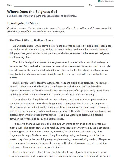 Where Does the Eelgrass Go? worksheet preview