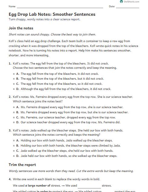 Egg Drop Lab Notes: Smoother Sentences worksheet preview