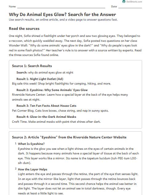 Why Do Animal Eyes Glow? Search for the Answer worksheet preview