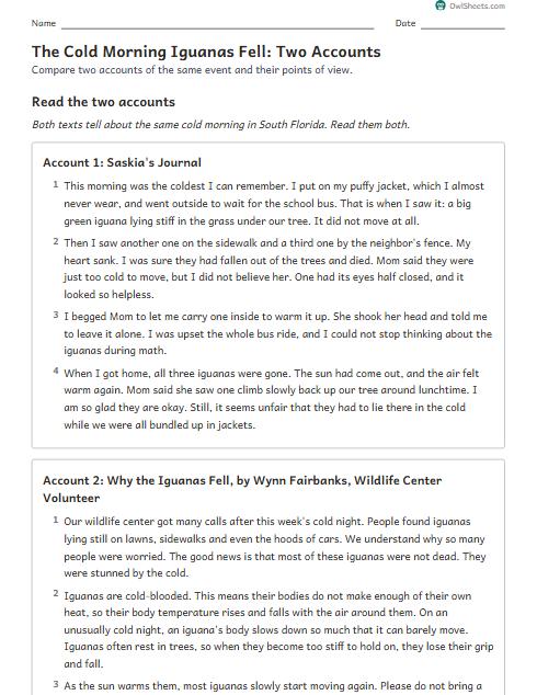 The Cold Morning Iguanas Fell: Two Accounts worksheet preview