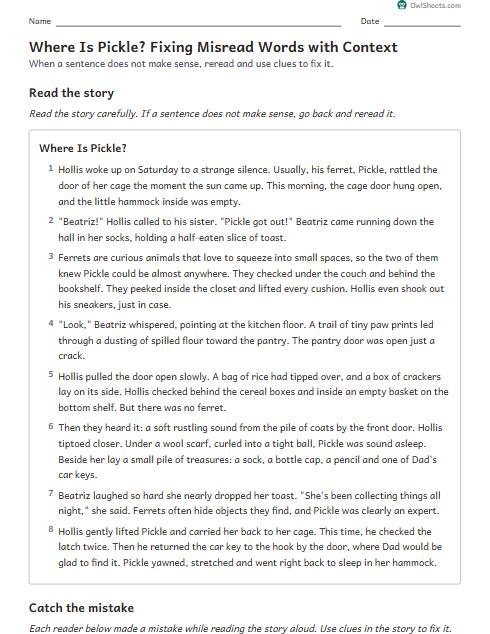 Where Is Pickle? Fixing Misread Words with Context worksheet preview