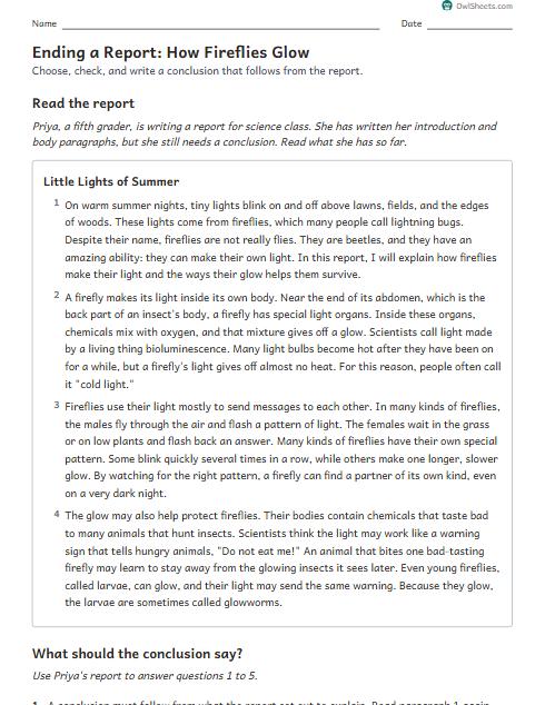 Ending a Report: How Fireflies Glow worksheet preview