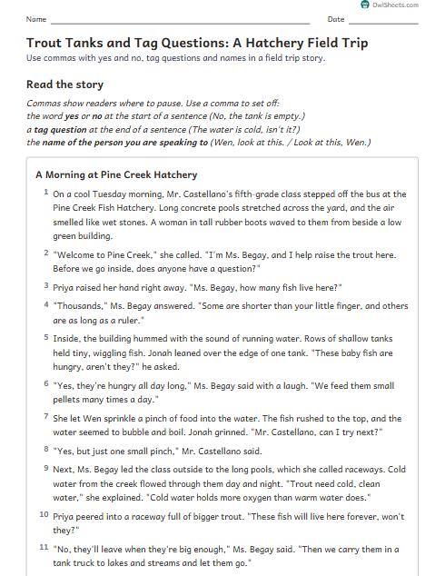 Trout Tanks and Tag Questions: A Hatchery Field Trip worksheet preview