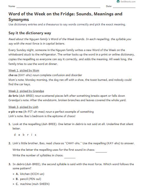 Word of the Week on the Fridge: Sounds, Meanings and Synonyms worksheet preview