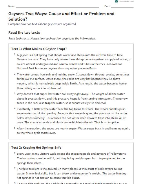 Geysers Two Ways: Cause and Effect or Problem and Solution? worksheet preview