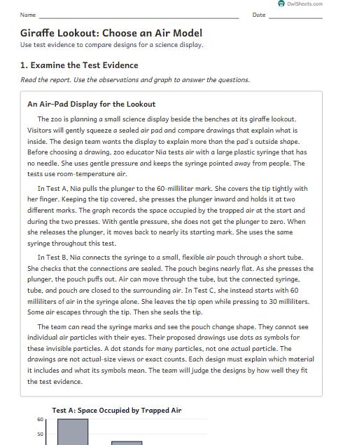 Giraffe Lookout: Choose an Air Model worksheet preview