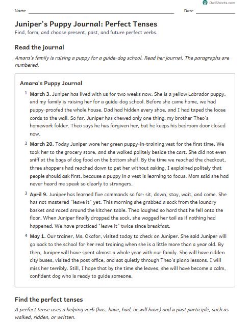 Juniper's Puppy Journal: Perfect Tenses worksheet preview