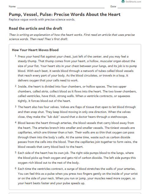 Pump, Vessel, Pulse: Precise Words About the Heart worksheet preview