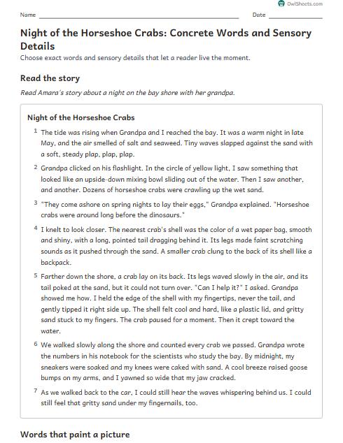 Night of the Horseshoe Crabs: Concrete Words and Sensory Details worksheet preview