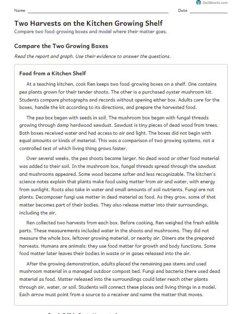 Two Harvests on the Kitchen Growing Shelf worksheet preview
