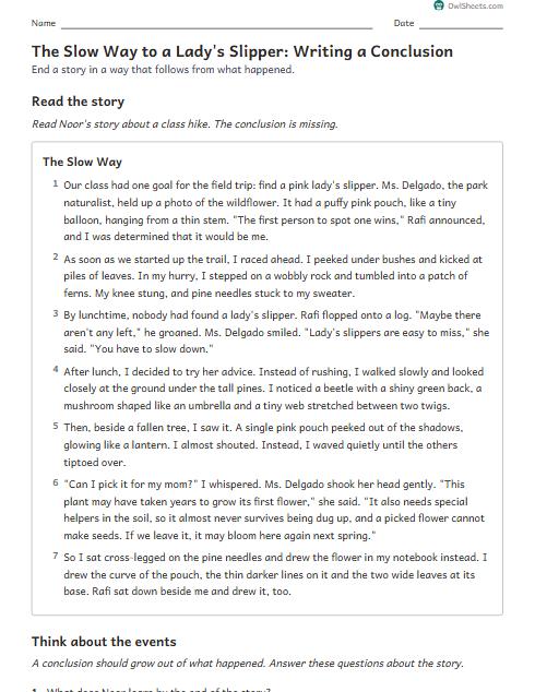 The Slow Way to a Lady's Slipper: Writing a Conclusion worksheet preview