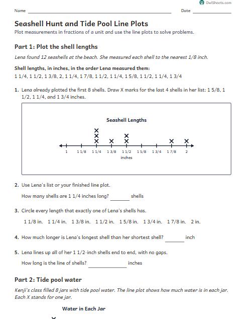 Seashell Hunt and Tide Pool Line Plots worksheet preview
