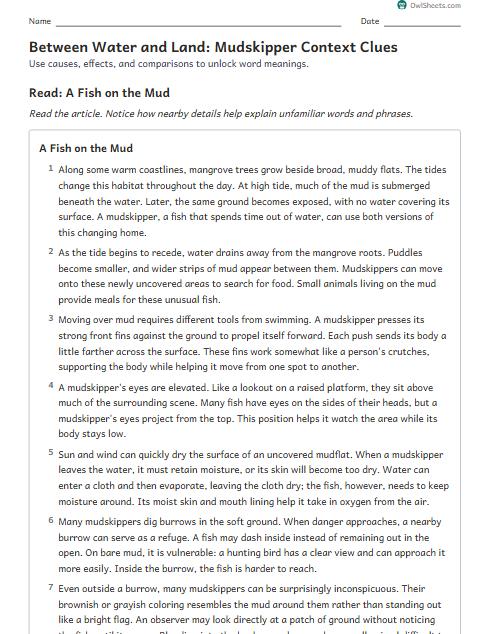 Between Water and Land: Mudskipper Context Clues worksheet preview