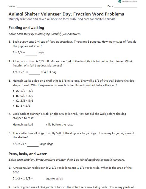 Animal Shelter Volunteer Day: Fraction Word Problems worksheet preview