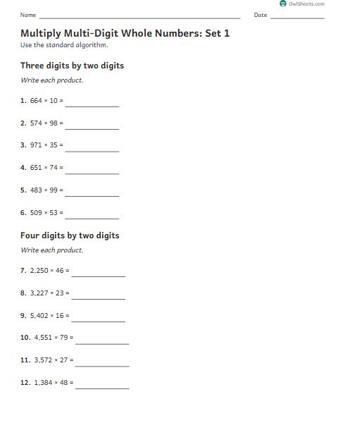 Multiply Multi-Digit Whole Numbers: Set 1 worksheet preview
