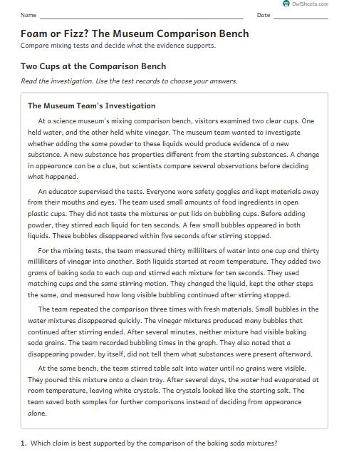 Foam or Fizz? The Museum Comparison Bench worksheet preview