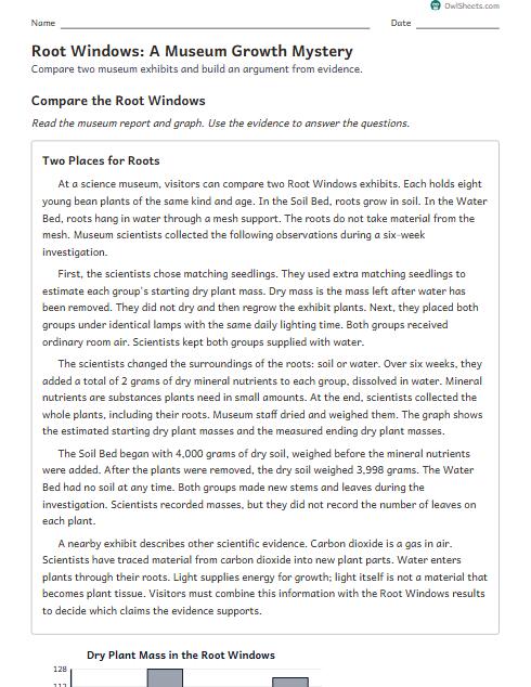 Root Windows: A Museum Growth Mystery worksheet preview
