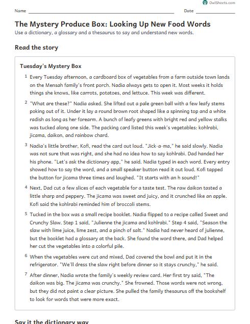 The Mystery Produce Box: Looking Up New Food Words worksheet preview