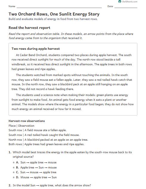 Two Orchard Rows, One Sunlit Energy Story worksheet preview