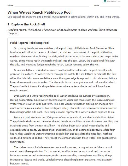 When Waves Reach Pebblecup Pool worksheet preview