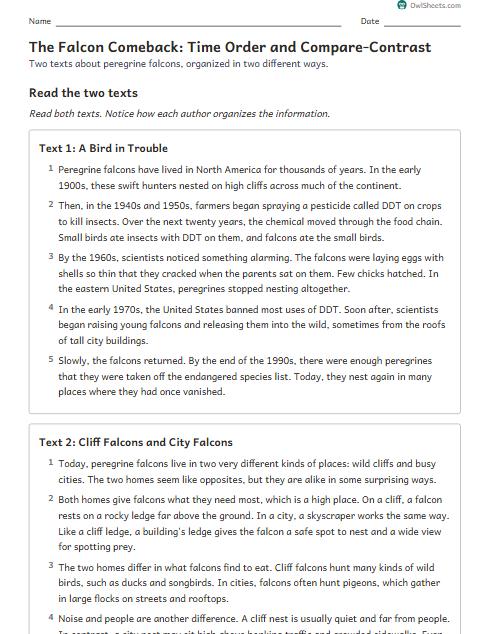 The Falcon Comeback: Time Order and Compare-Contrast worksheet preview