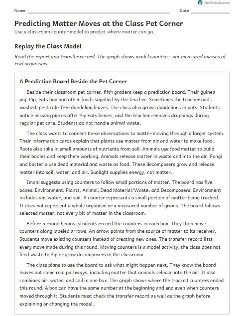 Predicting Matter Moves at the Class Pet Corner worksheet preview