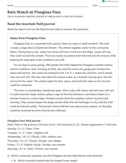 Rain Watch at Pineglass Pass worksheet preview