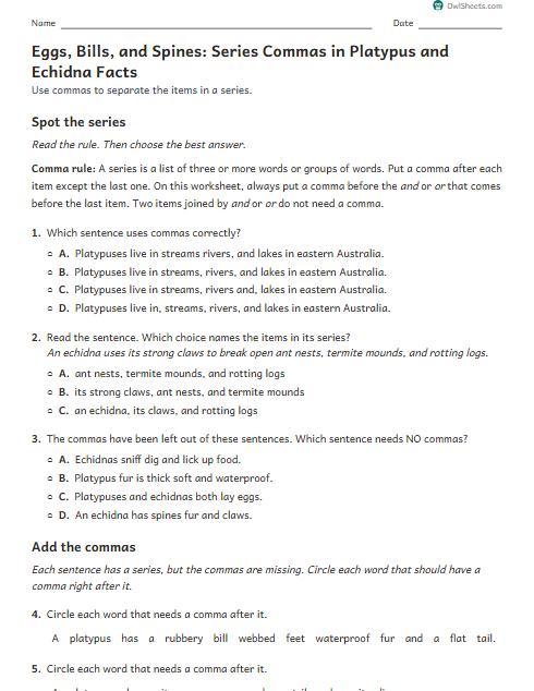 Eggs, Bills, and Spines: Series Commas in Platypus and Echidna Facts worksheet preview