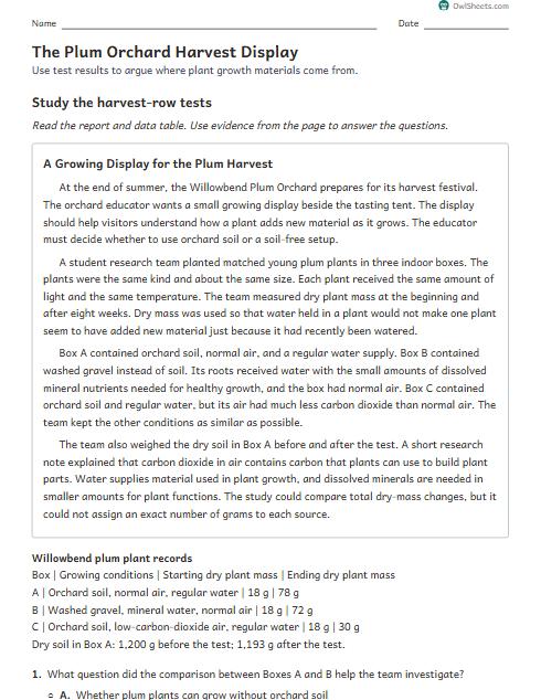 The Plum Orchard Harvest Display worksheet preview