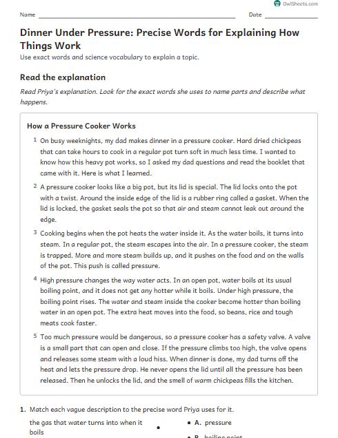 Dinner Under Pressure: Precise Words for Explaining How Things Work worksheet preview