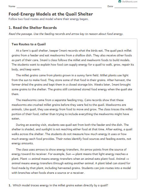 Food-Energy Models at the Quail Shelter worksheet preview