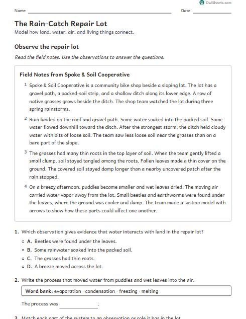 The Rain-Catch Repair Lot worksheet preview