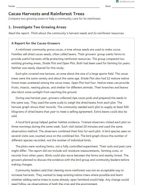 Cacao Harvests and Rainforest Trees worksheet preview